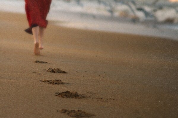 Free running on the sandy beach