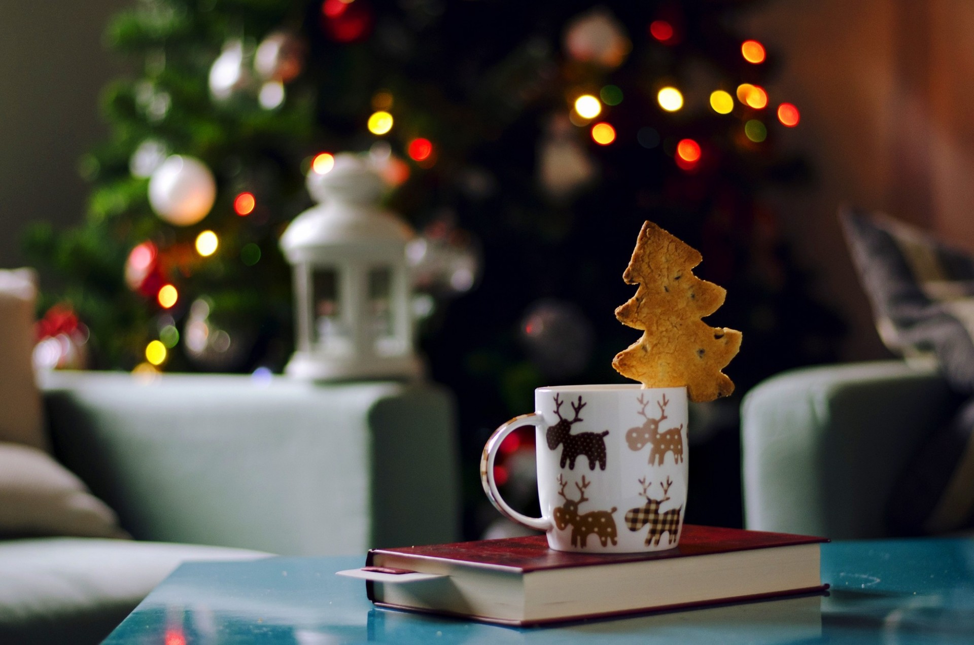 arbre de noël lumières noël nouvel an lanterne livre guirlande chaise biscuit lampe de poche vacances tasse