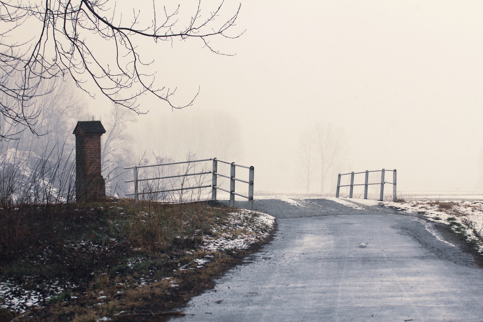 hiver brouillard paysage arbre route