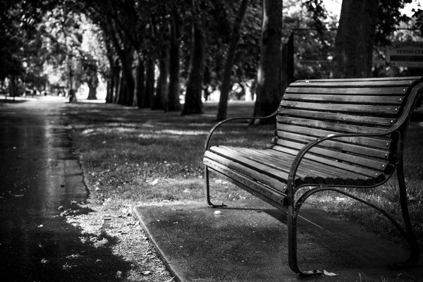 In einem Park in Florenz steht eine schwarz-weiße Bank