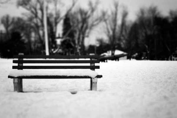 Banc noir dans la neige