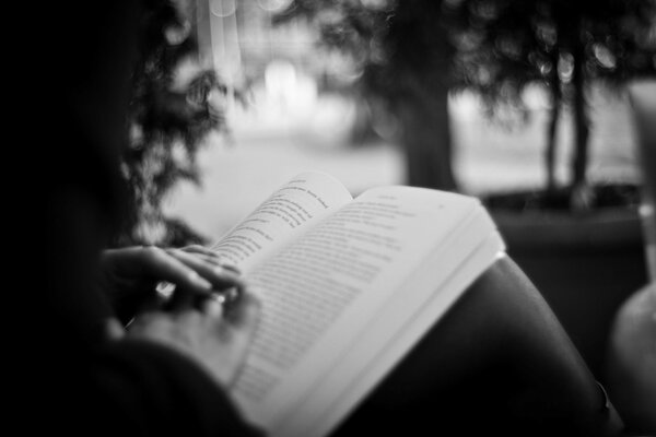 Photo in black and white style with an expanded book