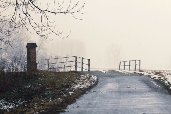 Winter landscape of trees in fog