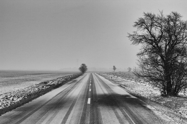 The first snow on the suburban road