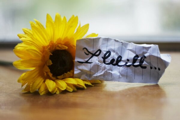 A note next to a sunflower