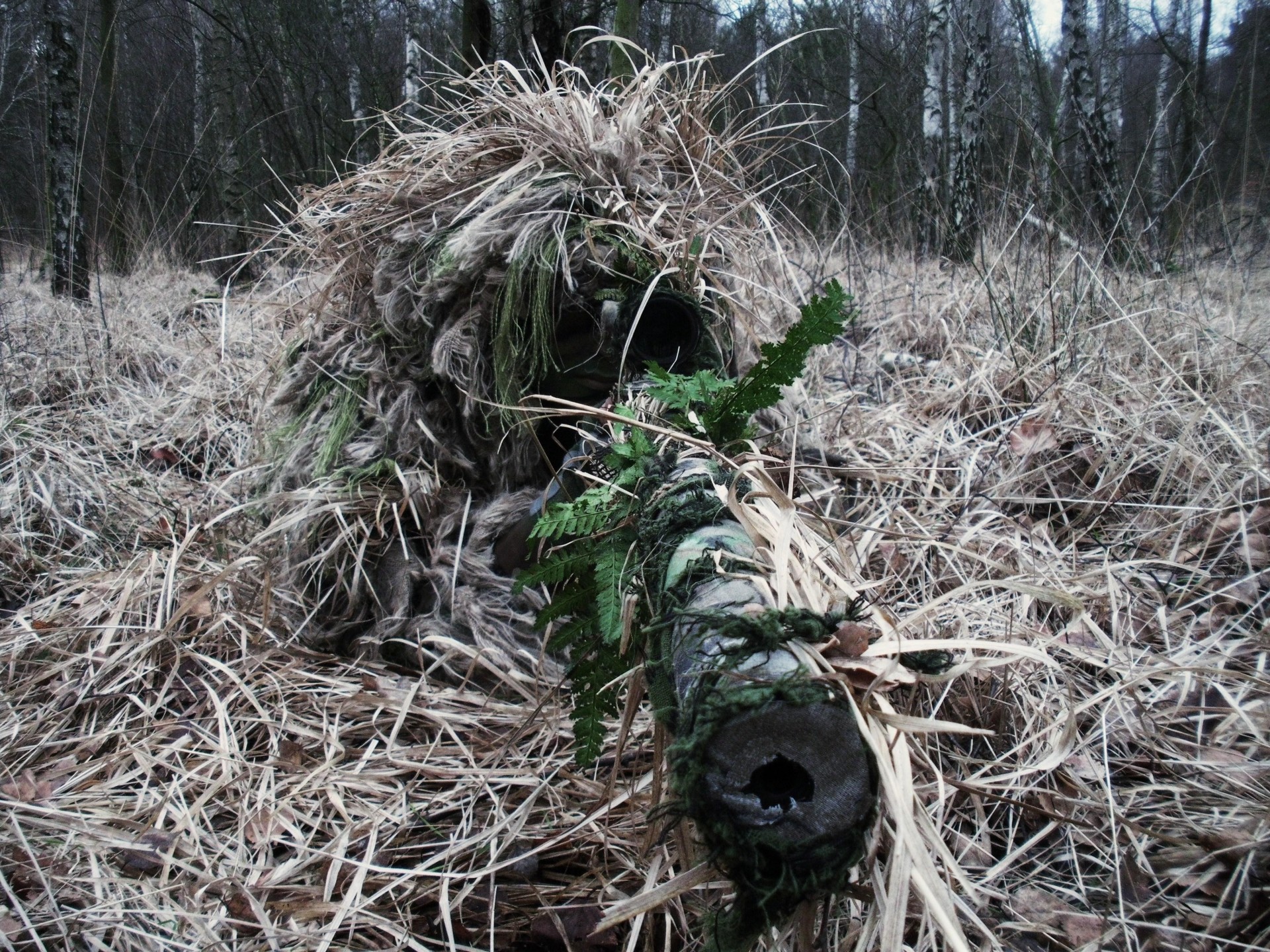 rifle sniper sight optics camouflage