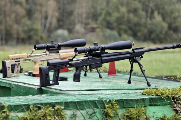 Russische Scharfschützengewehre im Wald