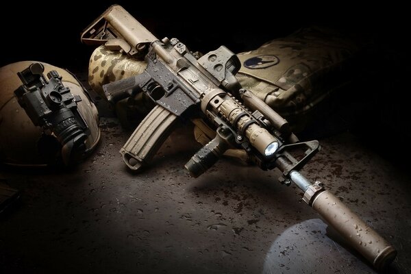 Photo du fusil AR-15 EOTECH