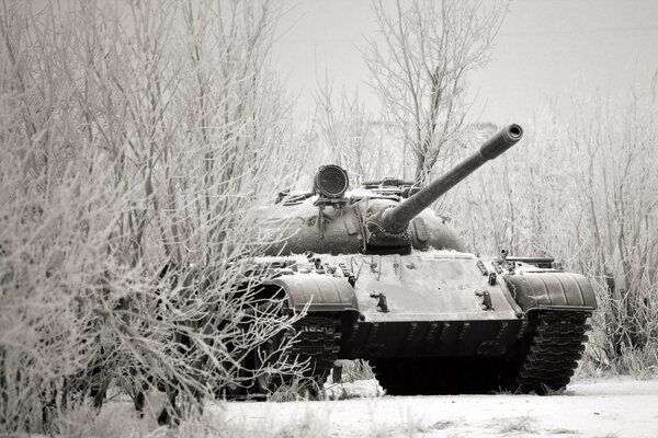 A mighty tank rides through a snowy forest