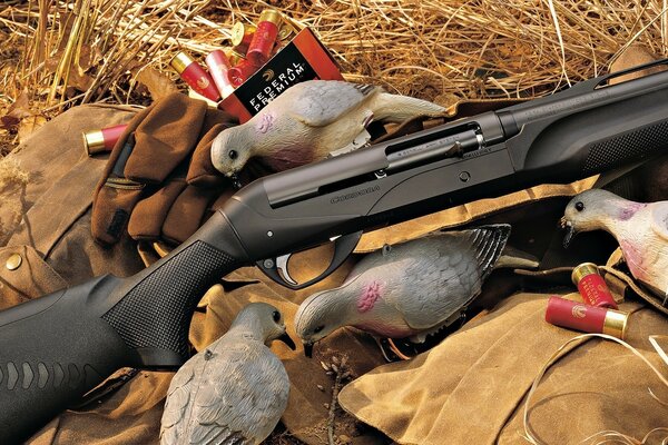 Weapons on the hay with pigeons and cartridges