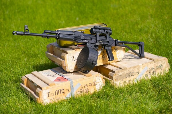 Jabalí de armas con cajas en la hierba