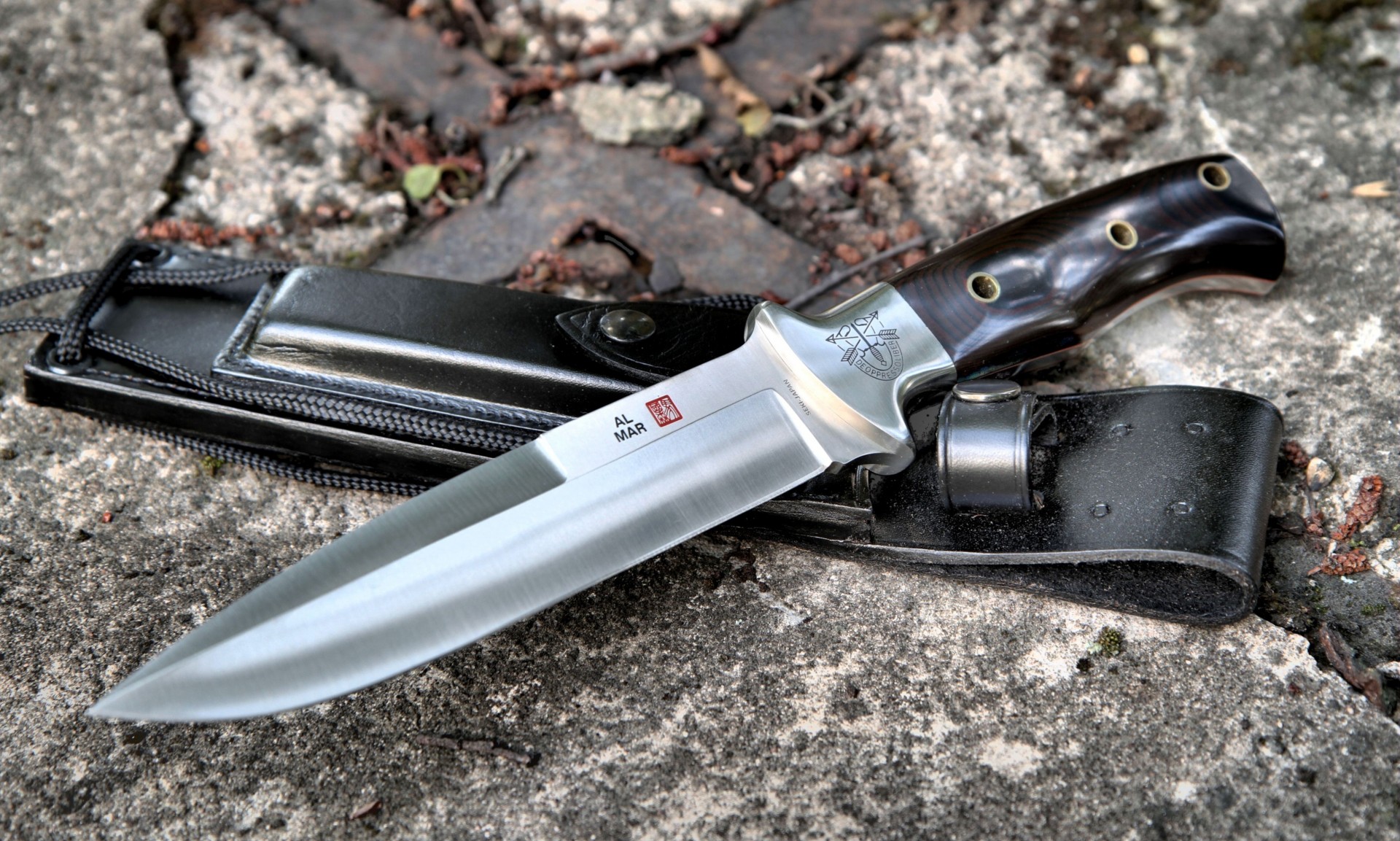 militare grigio macro coltello