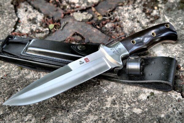 A knife with a black handle lies on the cabure