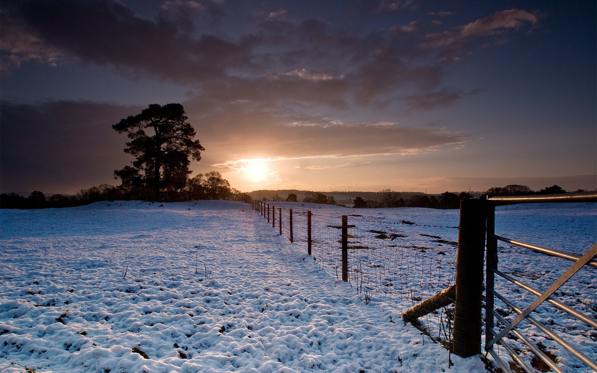 nieve valla árboles invierno puesta de sol