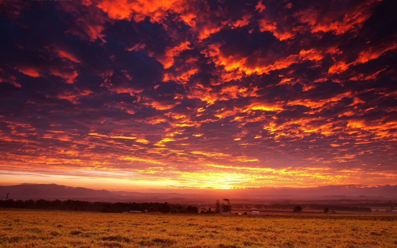 landscape sunset field