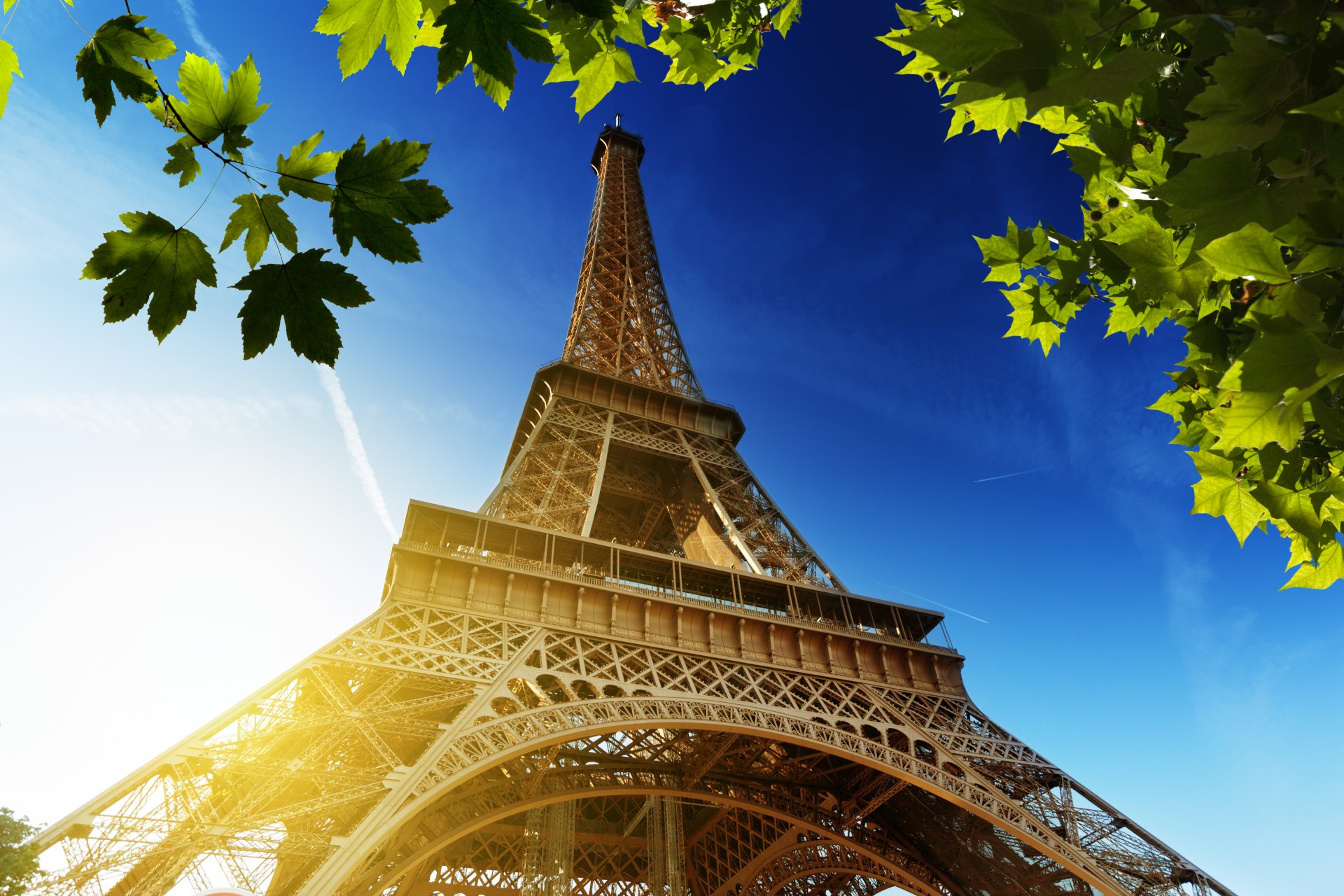 la tour eiffel eiffelturm paris frankreich himmel sonne blätter grün ahorn