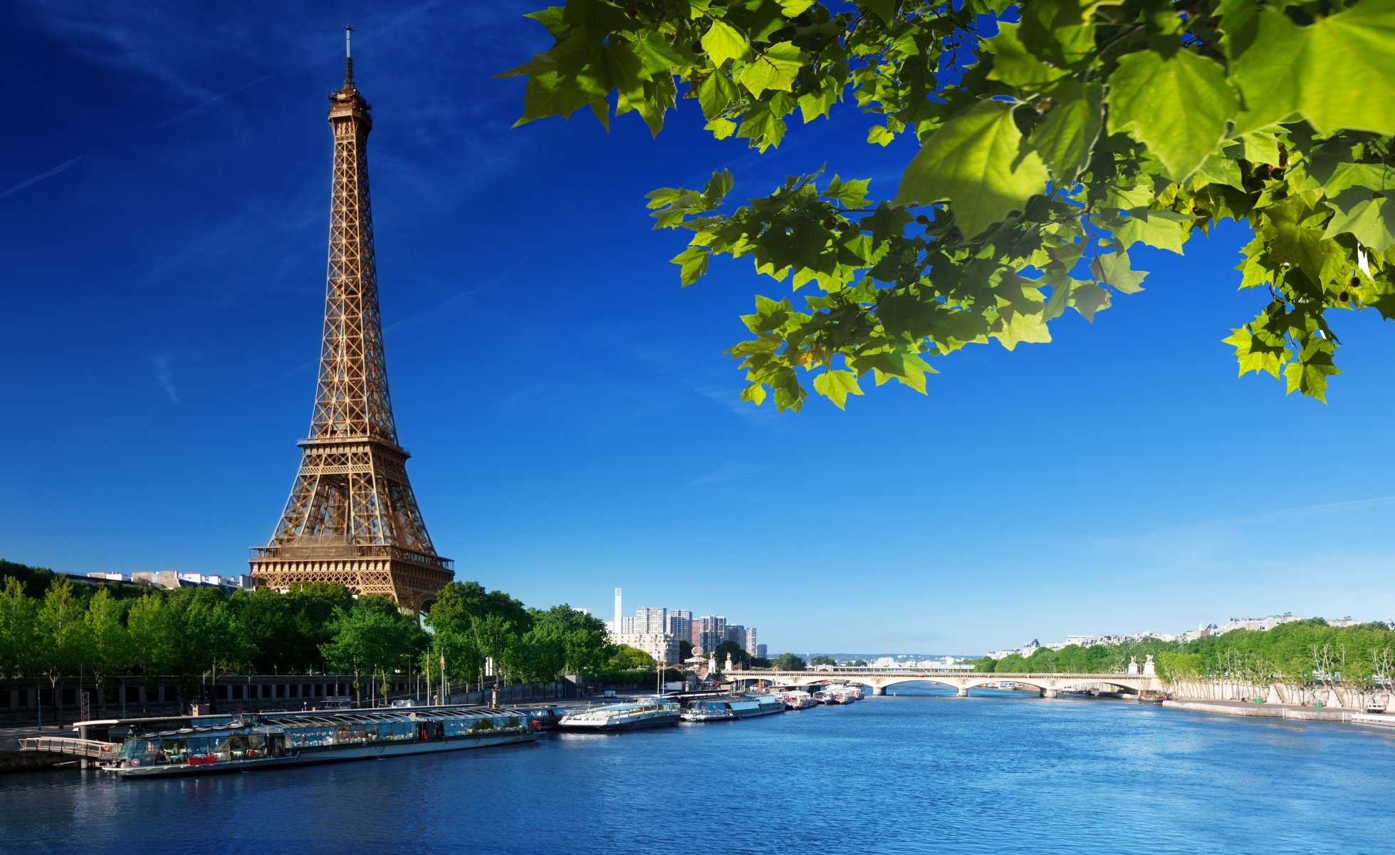 la tour eiffel parís francia torre eiffel cielo hojas verde verano río sena puente