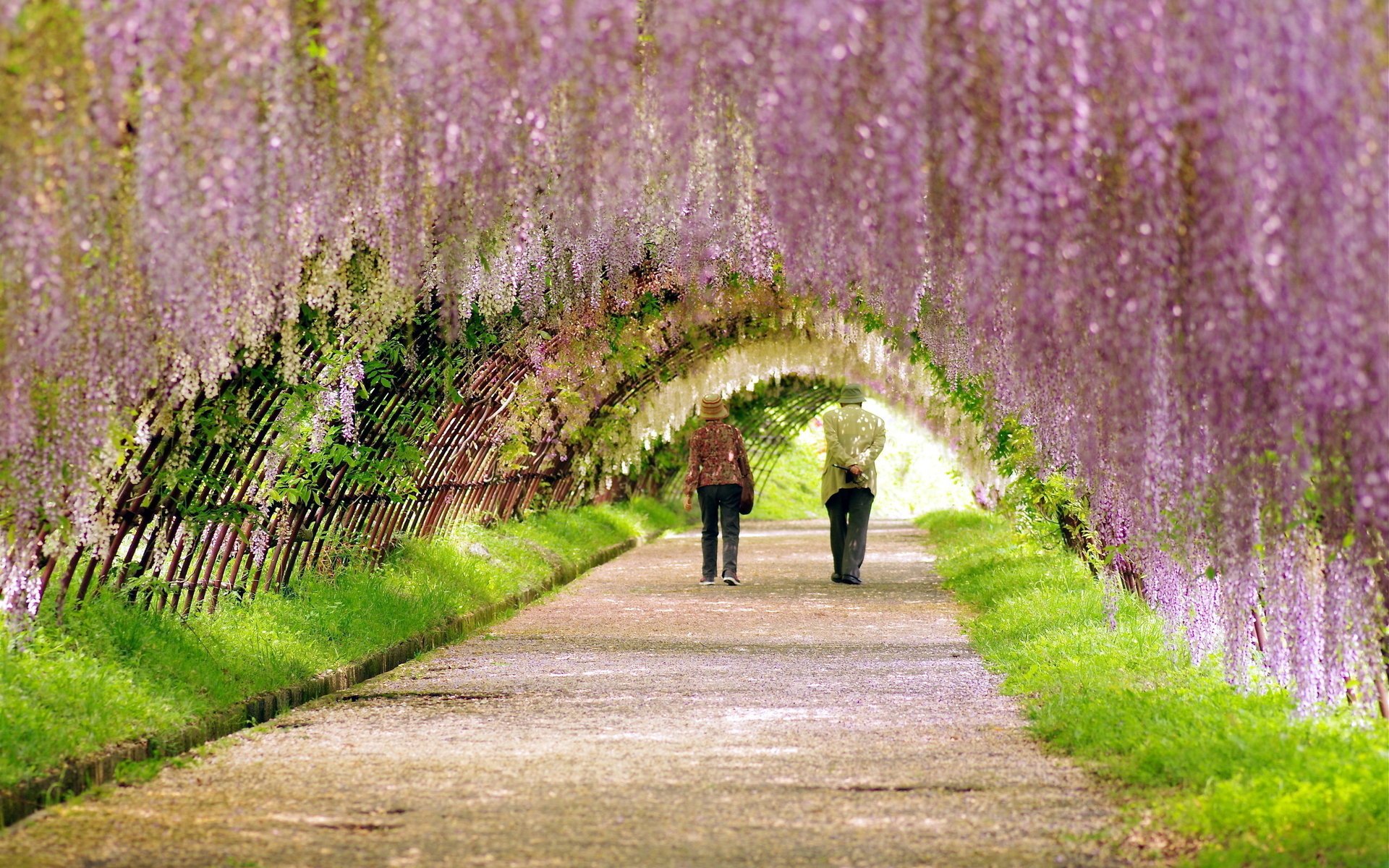 parc route promenade