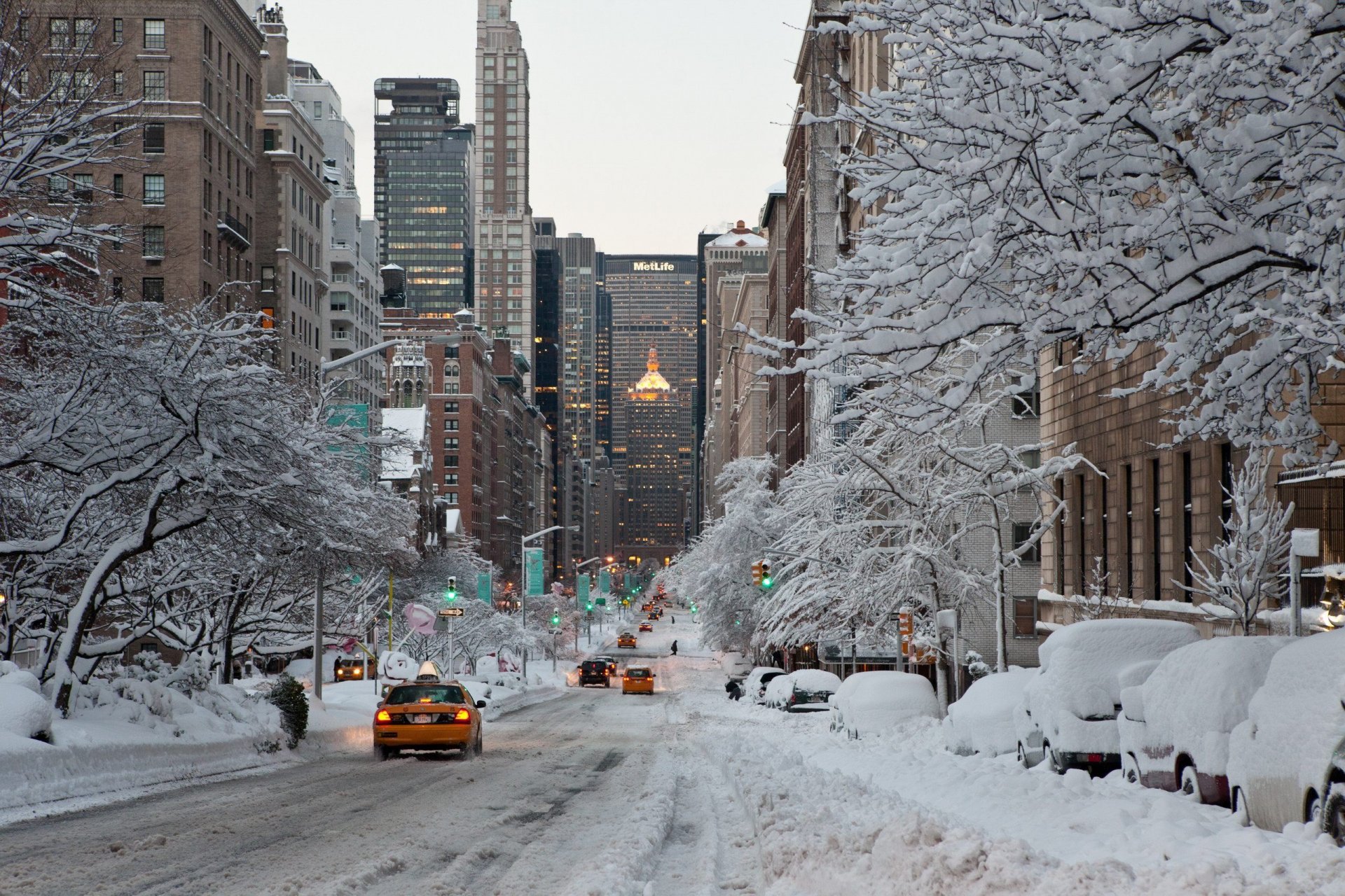 usa triathlon new york winter city