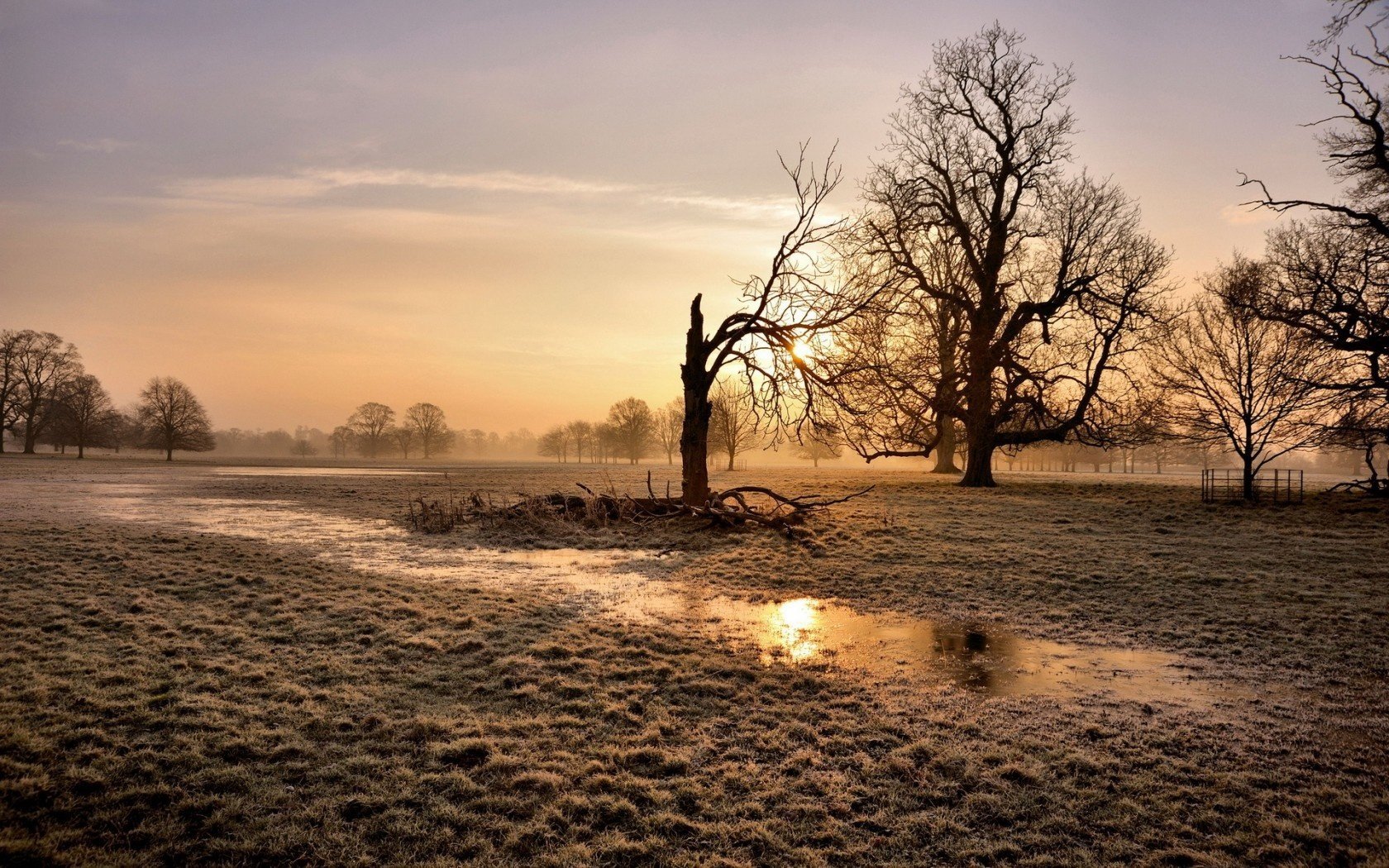 nature landscape sunset field