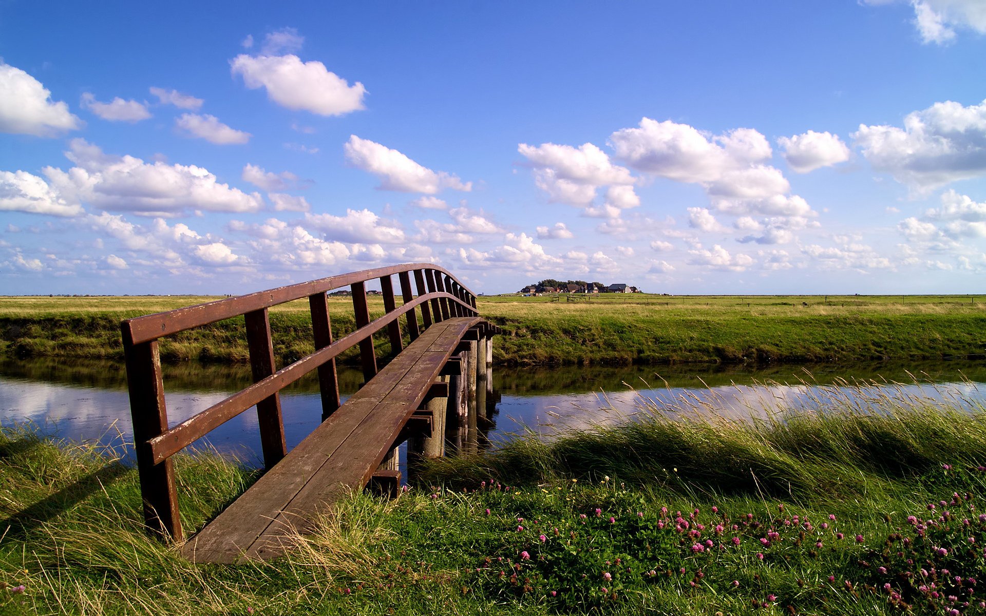 ponte fiori erbe nuvole cielo ruscello stagno