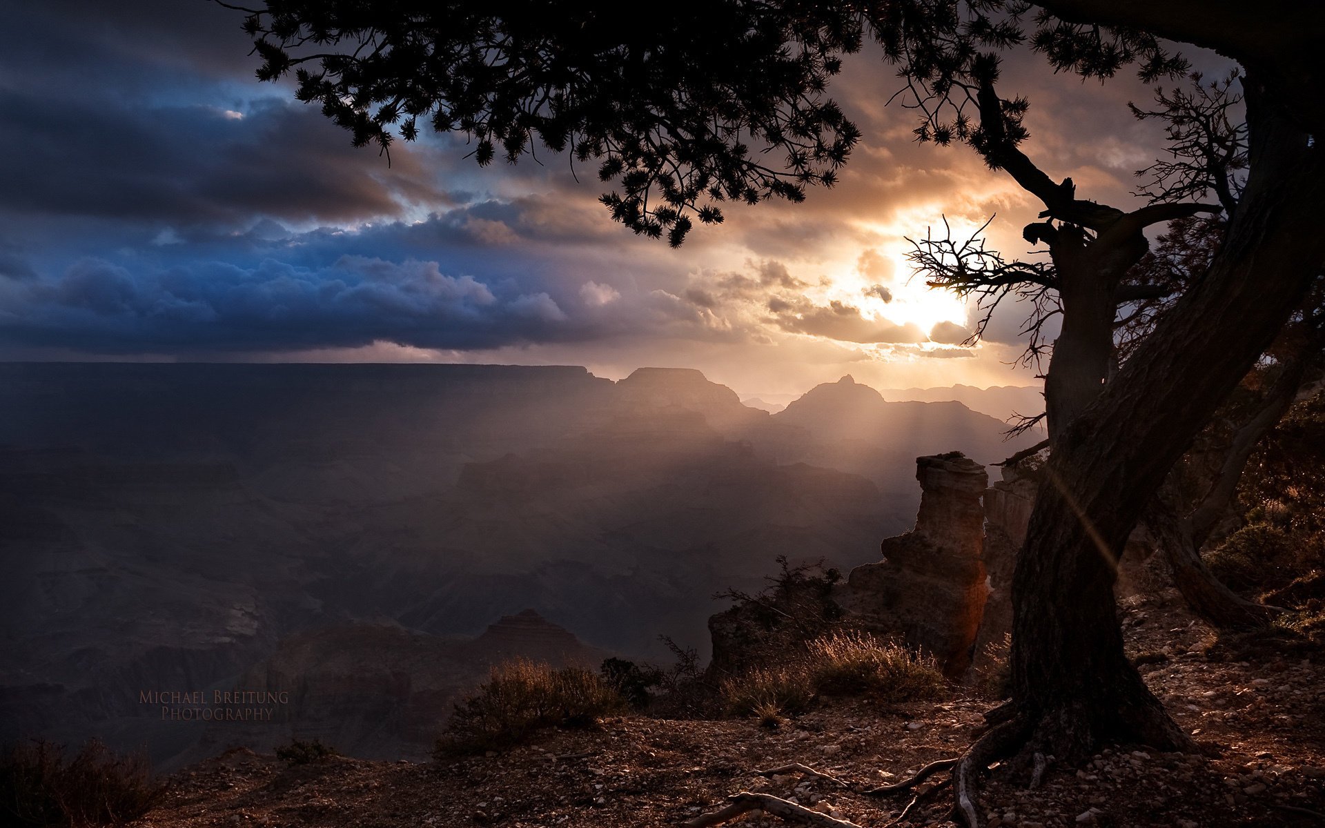 arizona the grand canyon tree clouds the rays of the sun