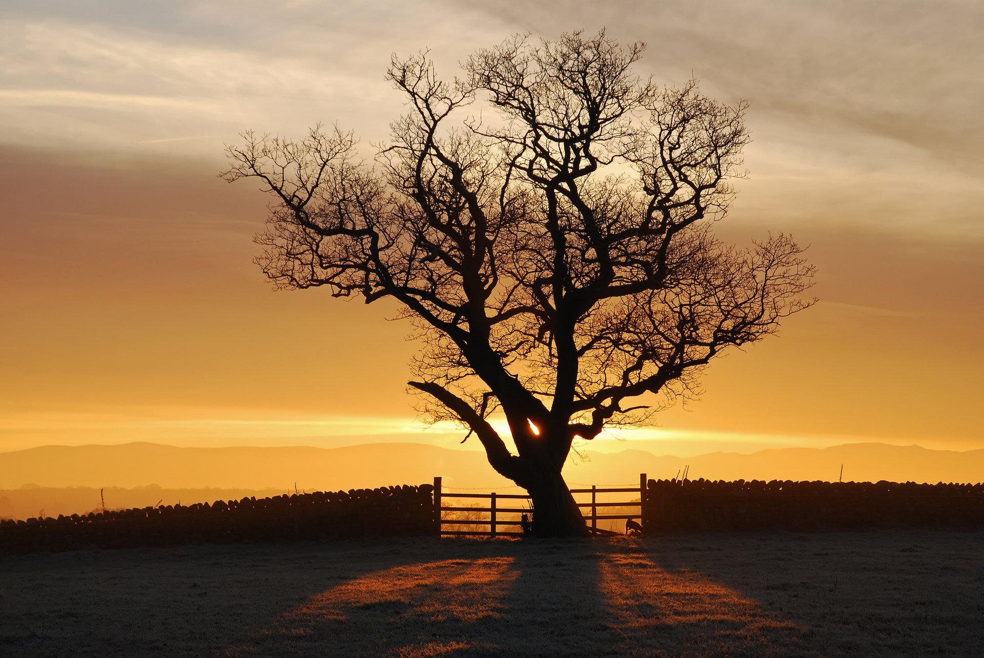 eden valley закат дерево солнце англия