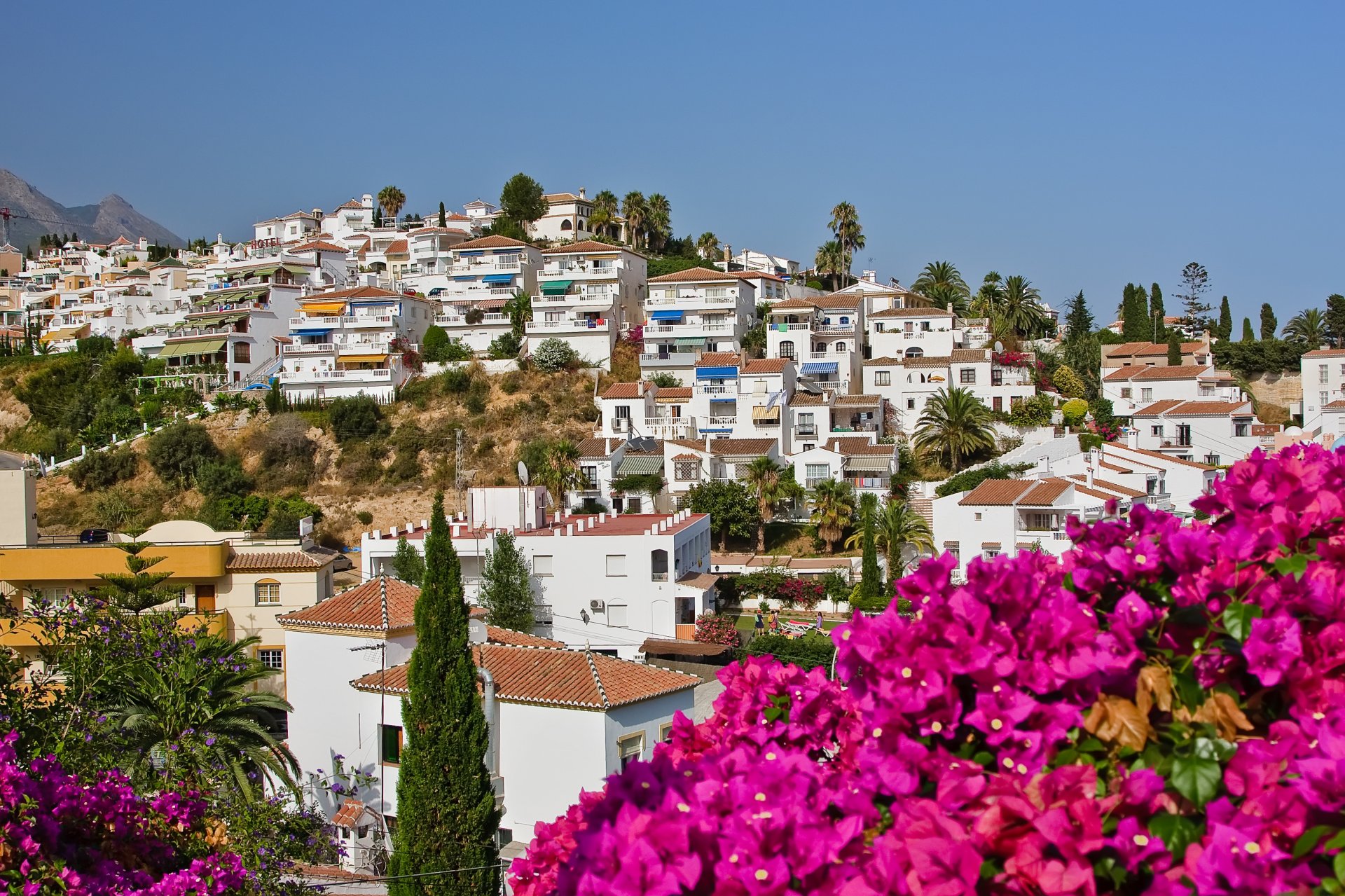 hiszpański krajobraz nerja hiszpania kwiaty domy niebo palmy drzewa natura miasto drzewa