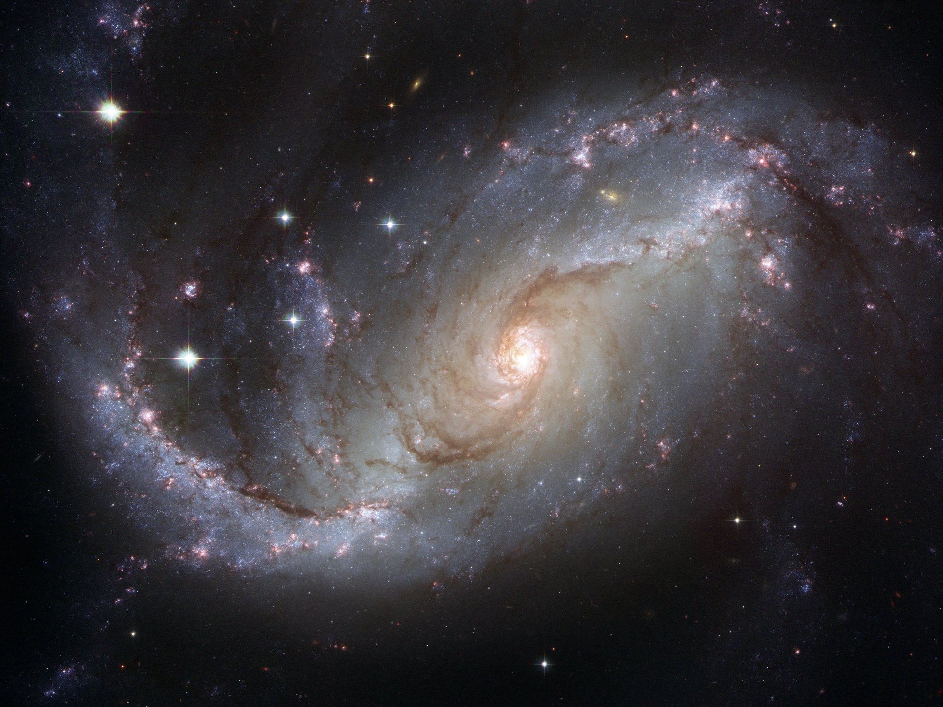 ngc 1672 galassia pesce d oro costellazione