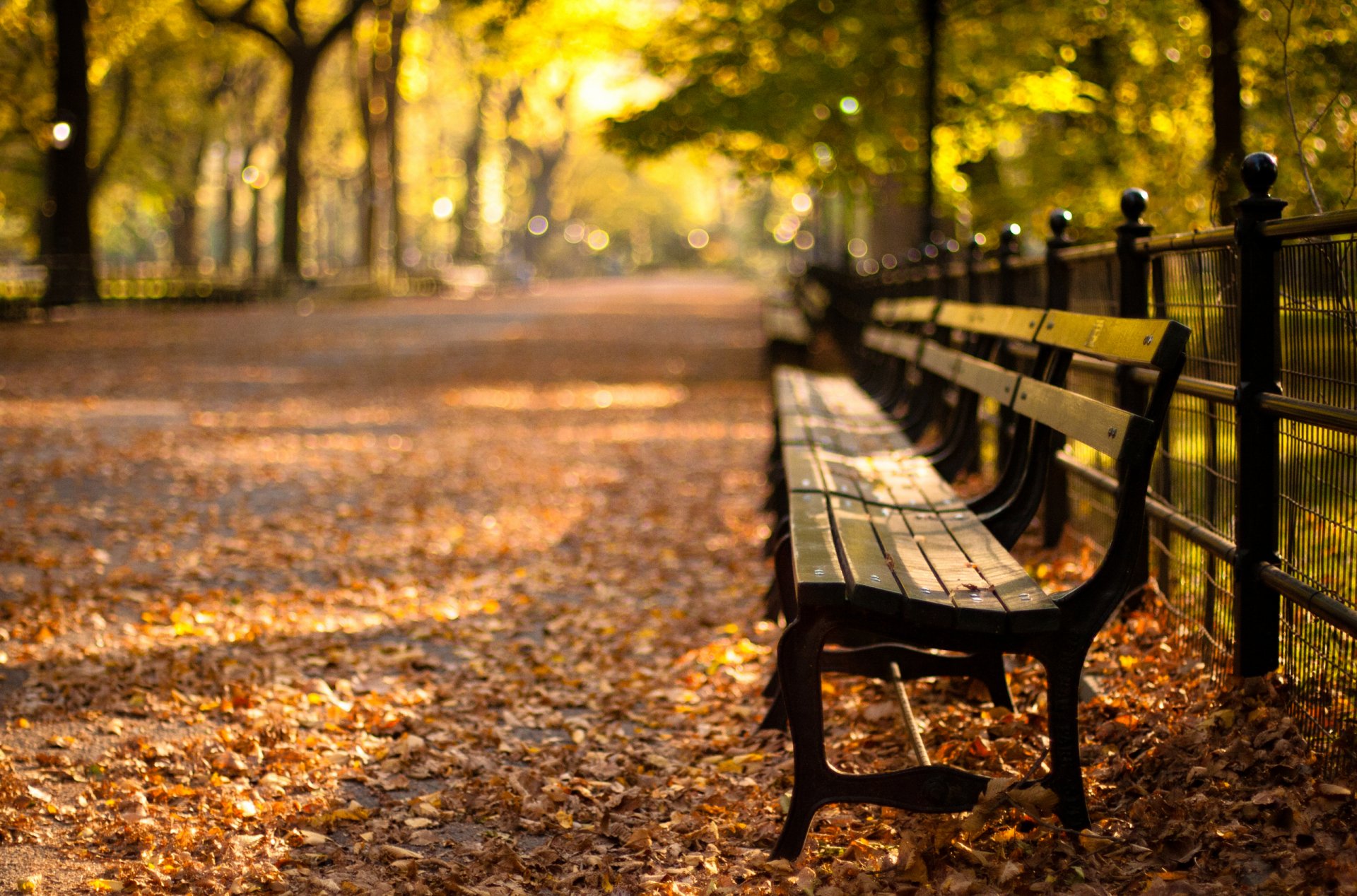 central park nueva york otoño puesta de sol parque