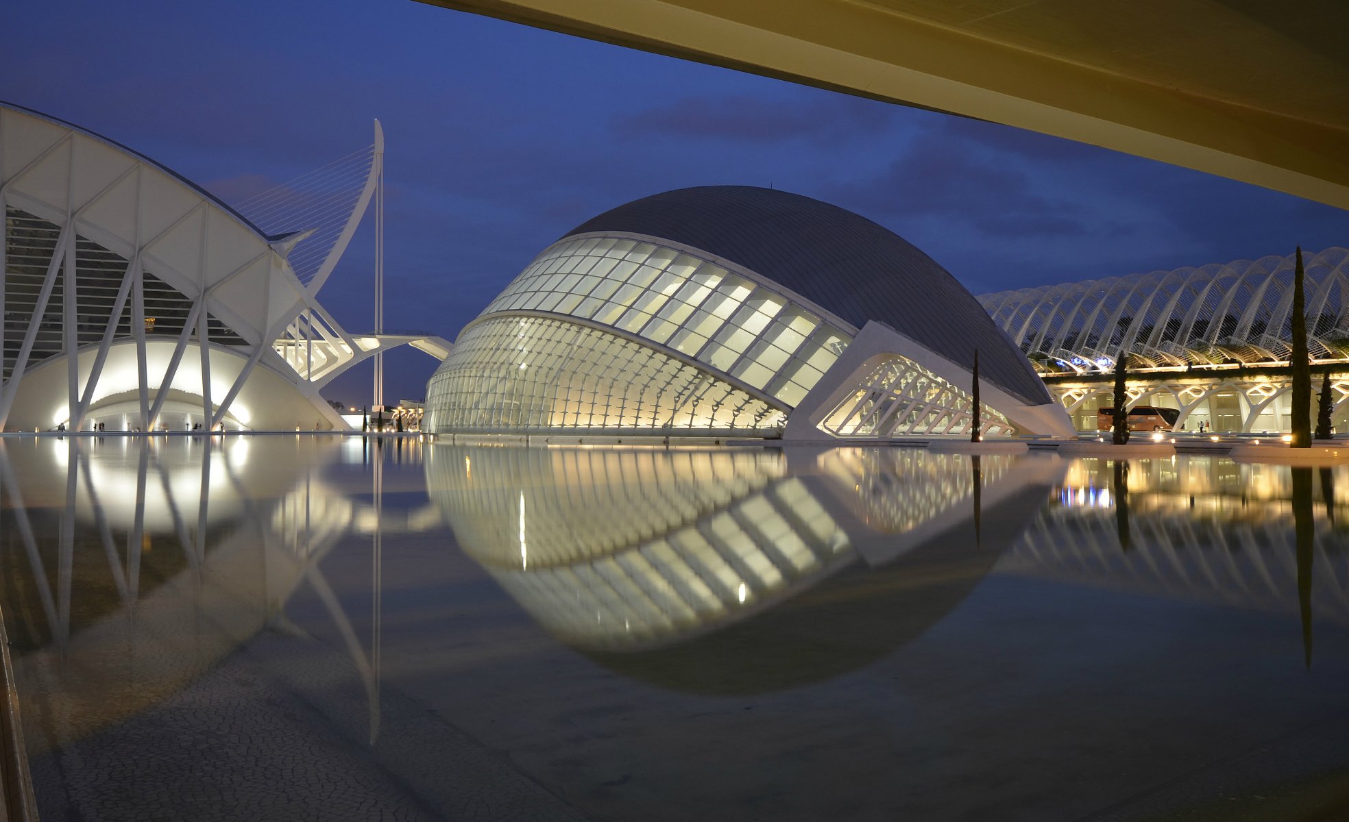 spagna valencia città delle arti e delle scienze complesso architettonico illuminazione alberi notte blu cielo