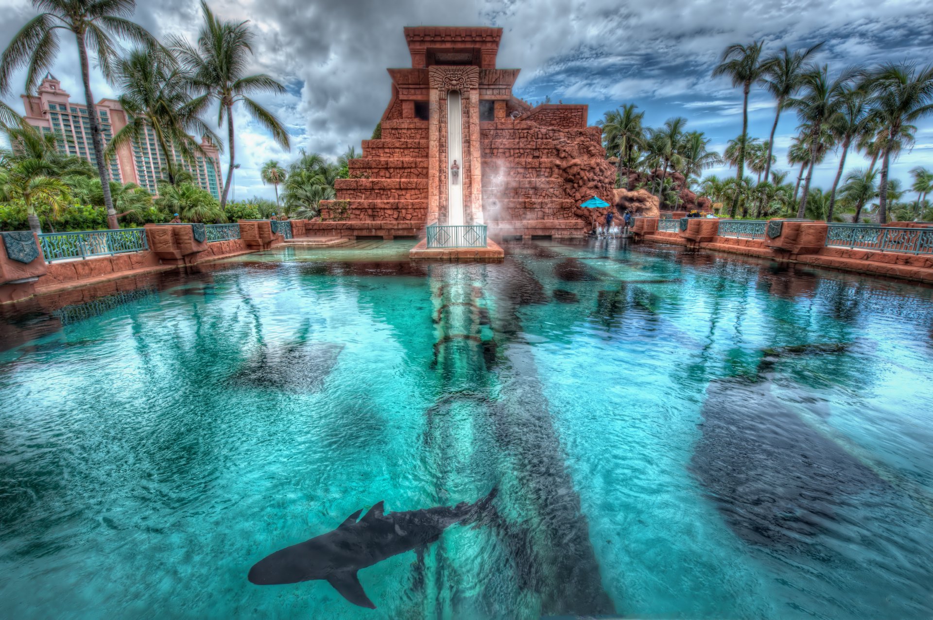 nassau bahamas hotel atlantis palmeras piscina tiburón