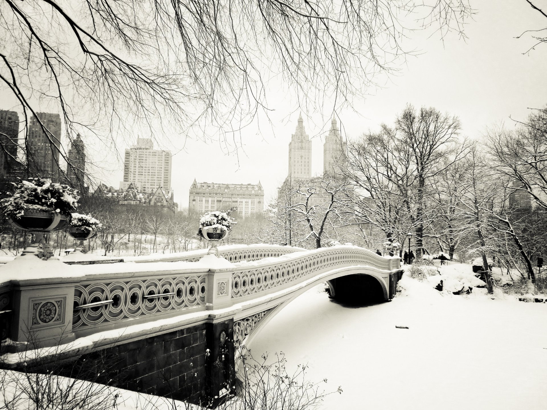 nueva york estados unidos manhattan central park puente de arco ciudad invierno nieve naturaleza árboles