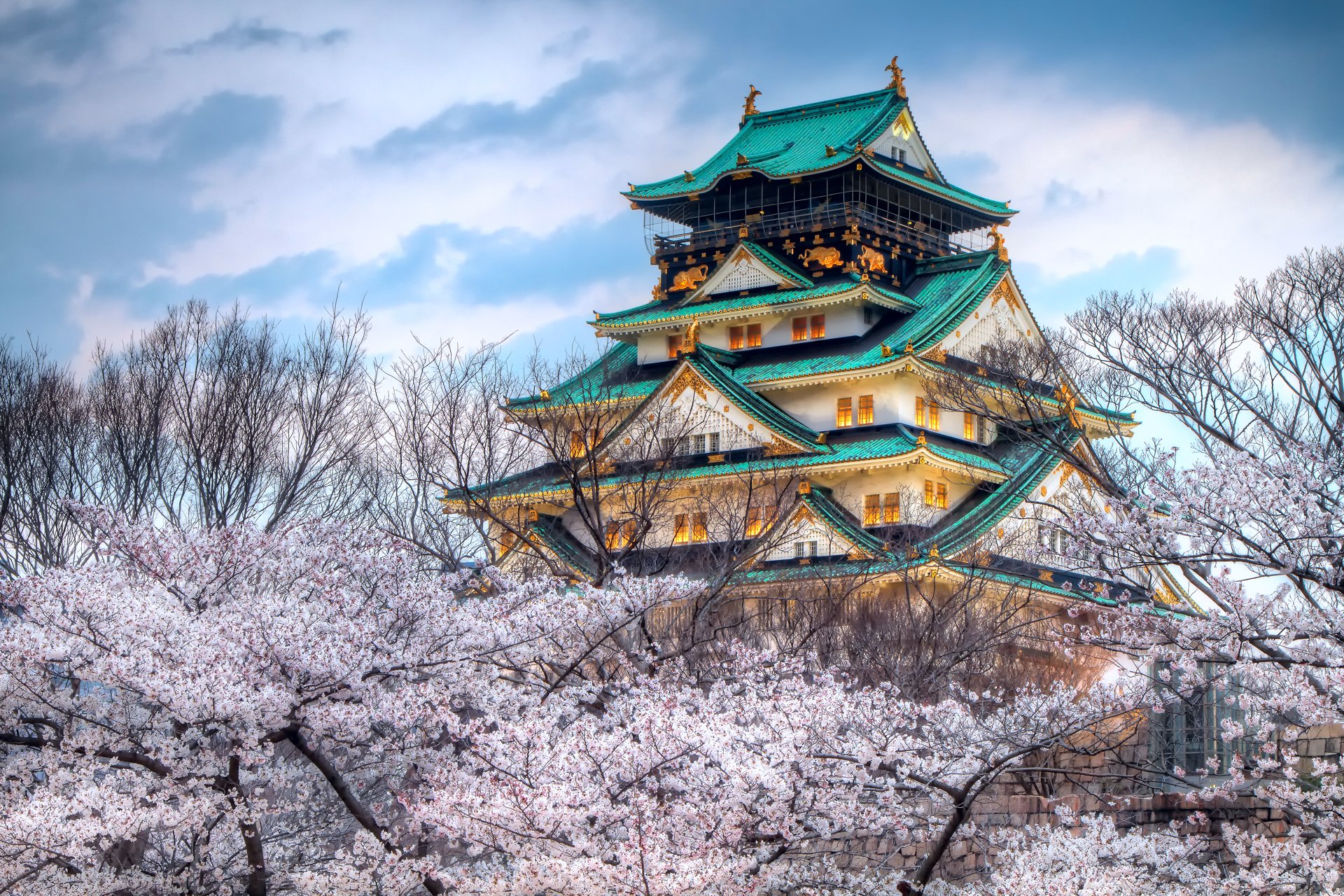 town japan temple sky spring sakura flower