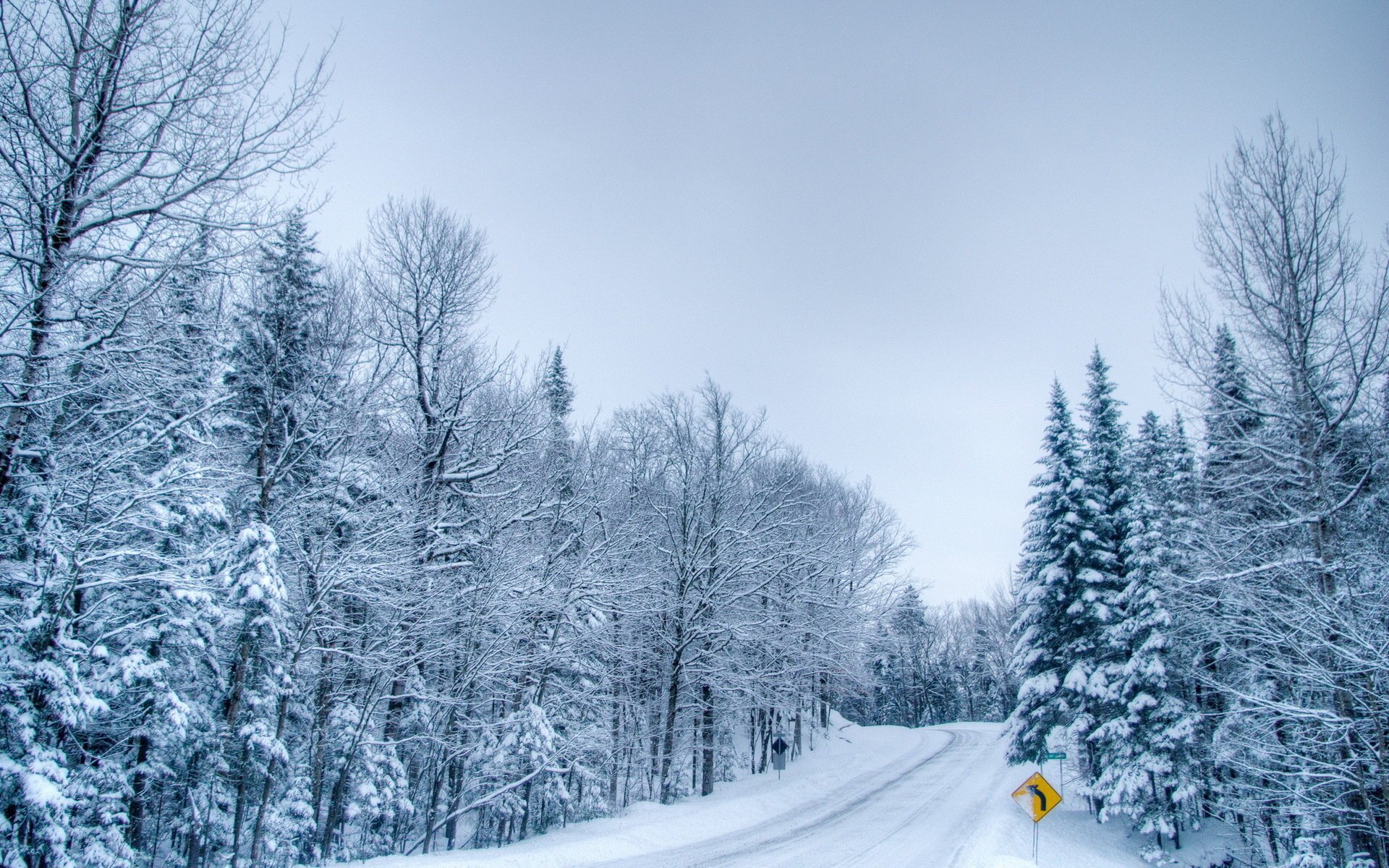 winter zeichen wald straße