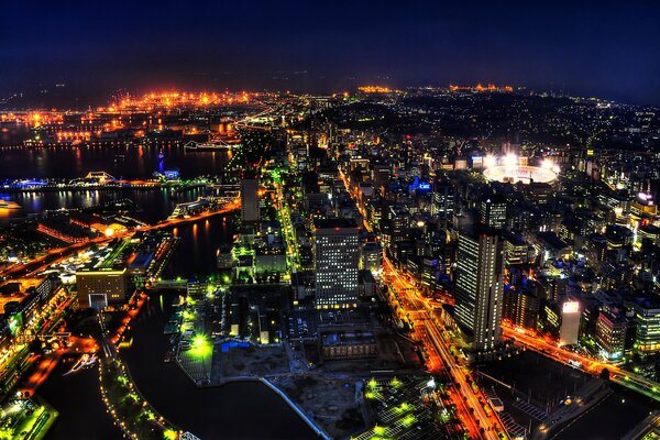 Vista dall alto del Giappone notturno