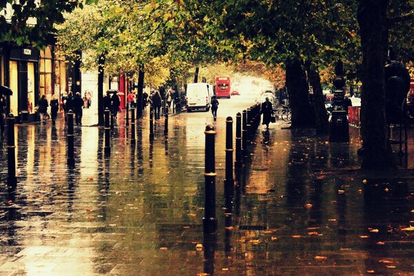 In der Stadt auf der Straße kam ein echter regnerischer Herbst