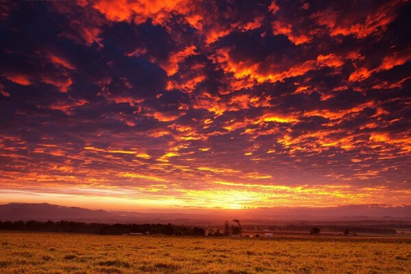 Landscape with evening sunset in the field