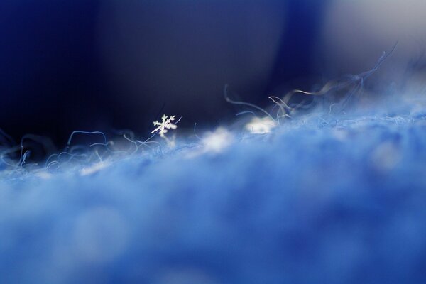 Macro shooting of snowflakes on blue fabric