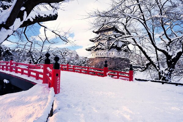 Snowy Giappone e Sakura alberi