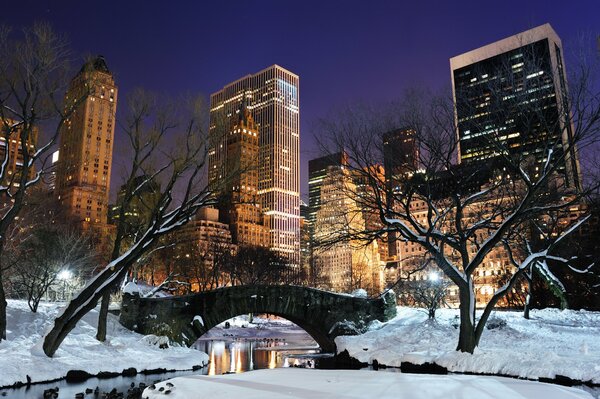 Parque de la ciudad de nueva York con islas nevadas