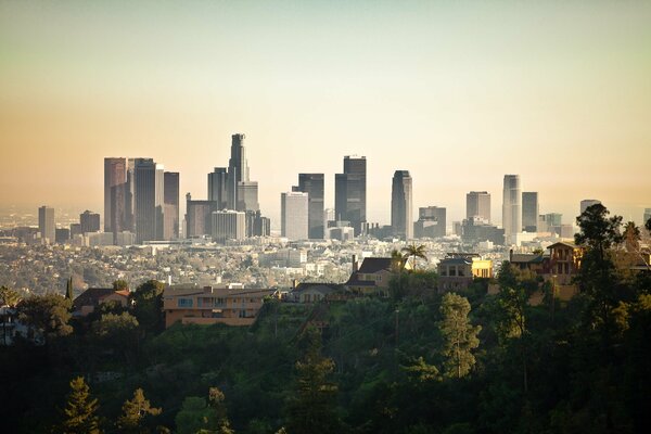 USA Stadt Bäume Kalifornien