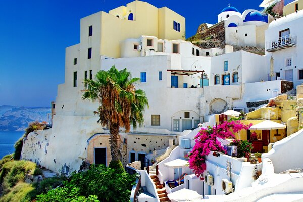 Panorama de Grecia-casas de piedra blanca y palmeras