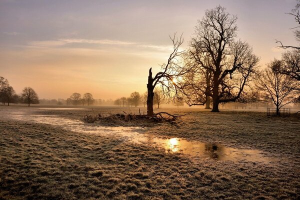 Field after rain during sunset