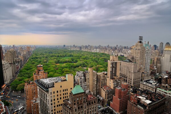 Bild von Hochhäusern in der Stadt New York
