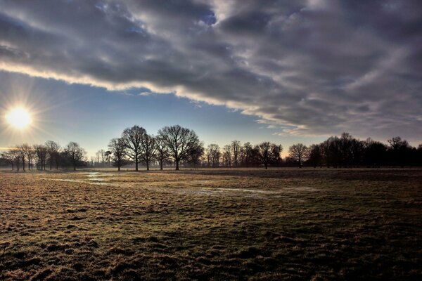 The heavenly veil covering the field