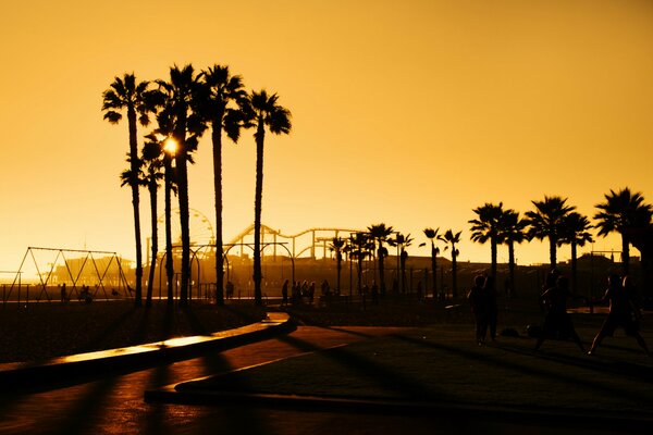 Stati Uniti. Palme a Los Angeles al tramonto