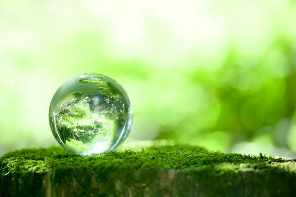 Macro tir de boule de verre sur la mousse verte