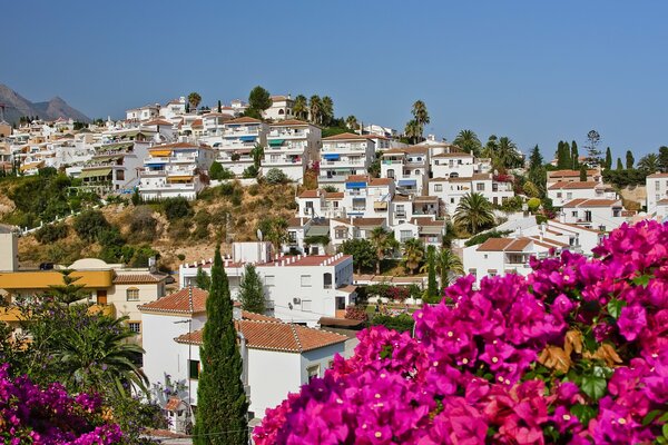 Spanische Landschaft und Blumen