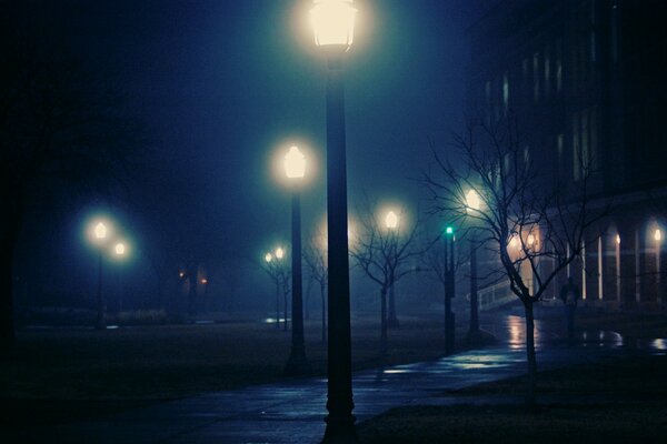 A night city in a cold fog